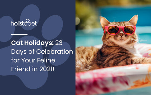 Cat Holidays: 23 Days of Celebration for Your Feline Friend in 2021!
