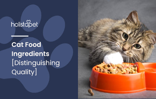 Cat Food Ingredients [Distinguishing Quality]