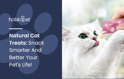 Natural Cat Treats: Snack Smarter And Better Your Pet's Life!