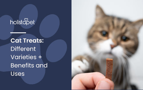 Cat Treats: Different Varieties + Benefits and Uses