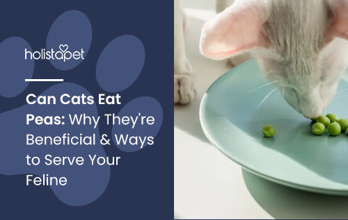 Can Cats Eat Peas: Why They're Beneficial & Ways to Serve Your Feline