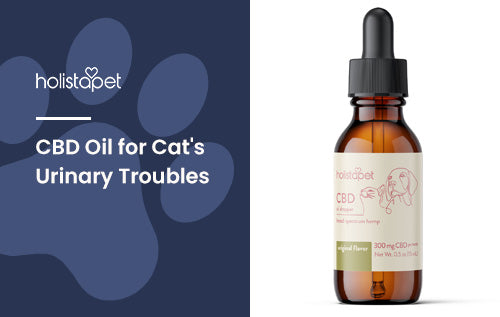 CBD Oil for Cats Peeing [How CBD Can Help Your Cat's Urinary Troubles]
