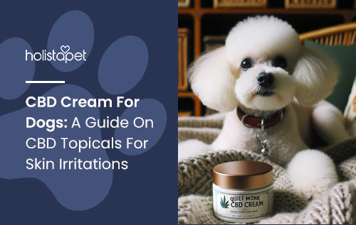 CBD Cream For Dogs: A Guide On CBD Topicals For Skin Irritations