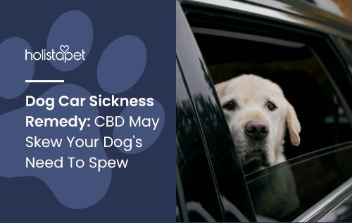 Dog Car Sickness Remedy: CBD May Skew Your Dog's Need To Spew