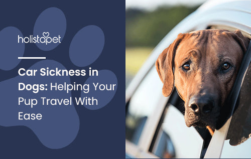 Car Sickness in Dogs: Helping Your Pup Travel With Ease