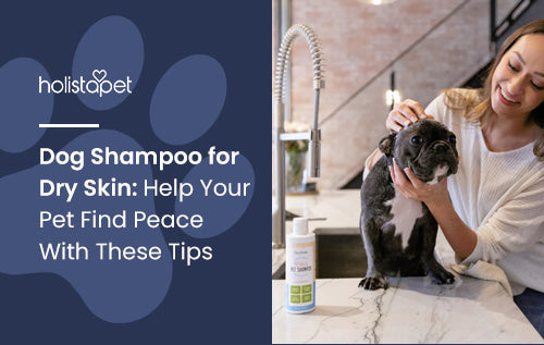 Dog Shampoo for Dry Skin: Help Your Pet Find Peace With These Tips