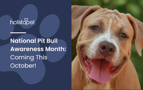 National Pit Bull Awareness Month: Coming This October!