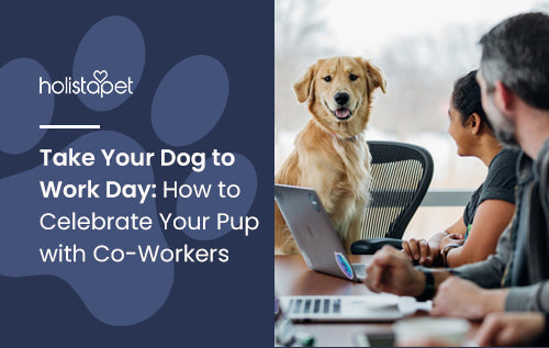 Take Your Dog to Work Day: How to Celebrate Your Pup with Co-Workers