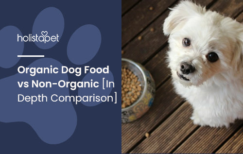 Organic Dog Food vs Non-Organic [In Depth Comparison]