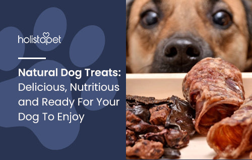 Natural Dog Treats: Delicious, Nutritious and Ready For Your Dog To Enjoy