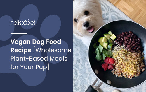 Grain free vegan dog food recipes best sale