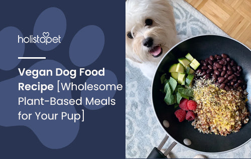 Vegan Dog Food Recipe [Wholesome Plant-Based Meals for Your Pup]