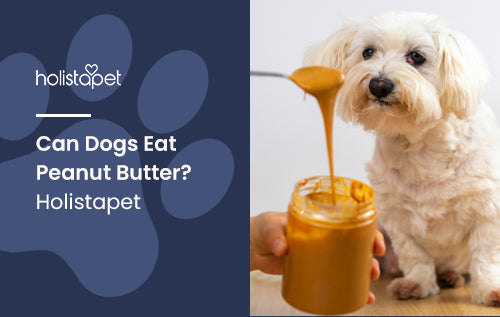 Do dogs eat peanut shops butter