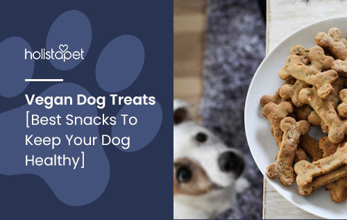 Vegan Dog Treats [Best Snacks To Keep Your Dog Healthy]