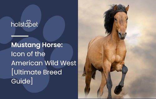Mustang Horse: Icon of the American Wild West [Ultimate Breed Guide]