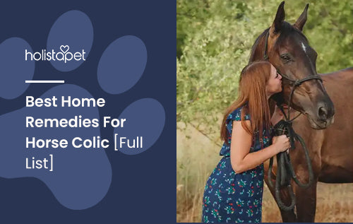 Best Home Remedies for Horse Colic [Full List]