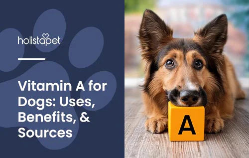 how much vitamin a do dogs need