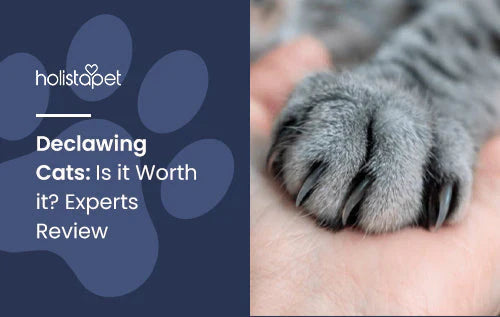 is it worth declawing the cats? 