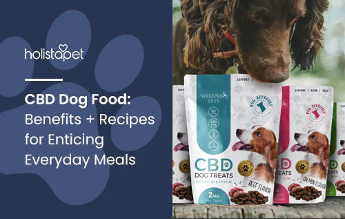 What Is CBD Dog Food