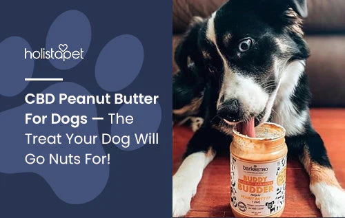 What Is CBD Peanut Butter For Dogs