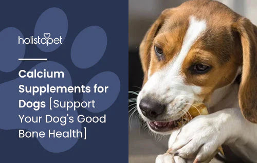 What Are Calcium Supplements for Dogs