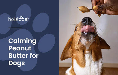 Using Peanut butter to calm dogs