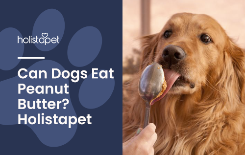 Can Dogs Eat Peanut Butter