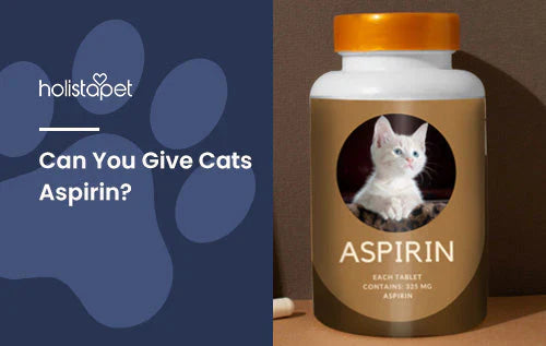 information about giving cats aspirin