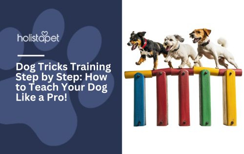 Dog Tricks Training Step by Step: How to Teach Your Dog Like a Pro!