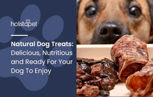 Guide to Natural Dog treats