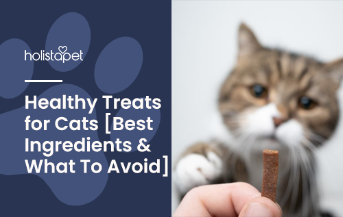 Healthy Treats for Cats