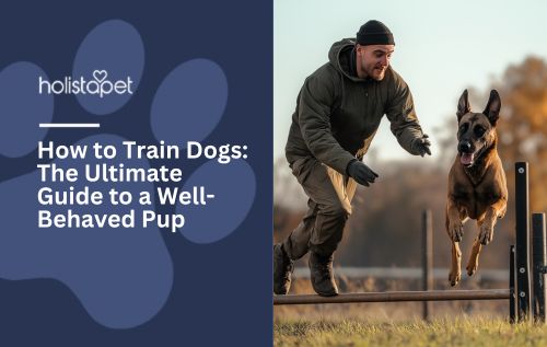 How to Train Dogs: The Ultimate Guide to a Well-Behaved Pup