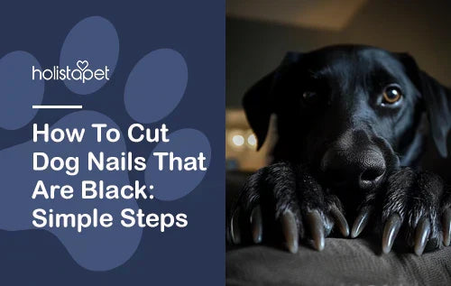 How To Cut Dog Nails That Are Black: Simple Steps