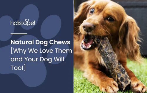 Tips for safe and natural dog chews