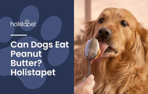 Is Peanut Butter Safe For Dogs