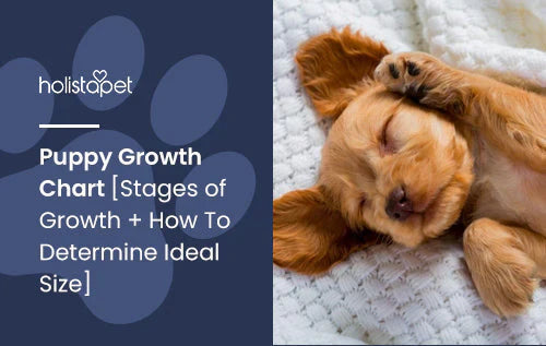 Chart Guide for Puppy Growth