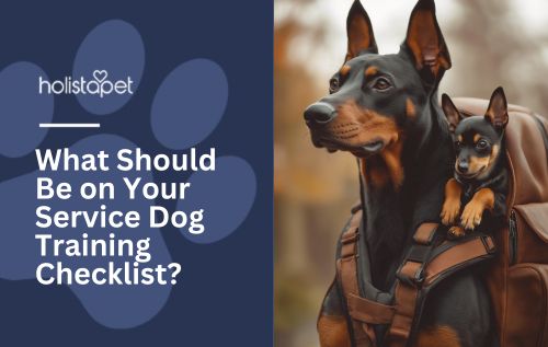 What Should Be on Your Service Dog Training Checklist?