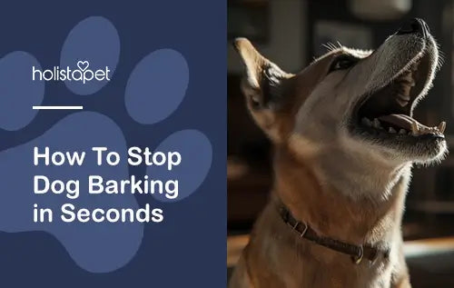 Easily Stop your barking dog