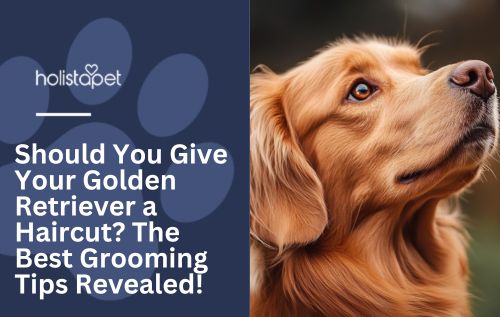 Should You Give Your Golden Retriever a Haircut? The Best Grooming Tips Revealed!