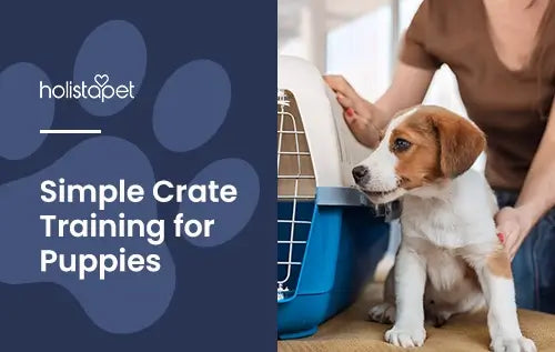 Holistapet featured image for "How To Crate Train A Puppy" blog. Shows a woman introducing her puppy to its crate.