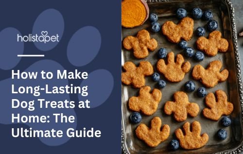 How to Make Long-Lasting Dog Treats at Home: The Ultimate Guide