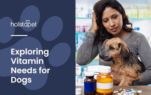 Holistapet blog image: What Vitamins do dogs Need? Shows an owner and their dog looking confused at various dog vitamins