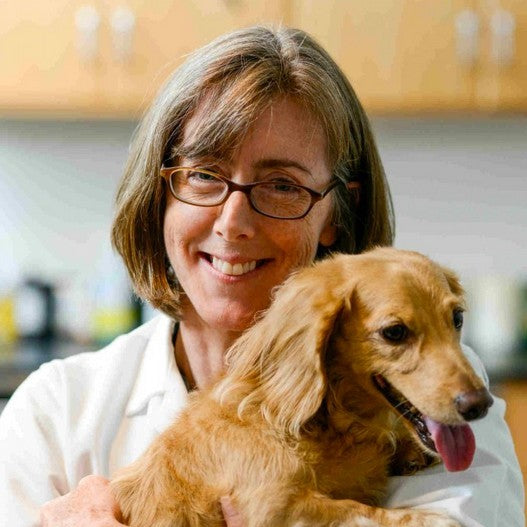 Dr. Natasha Olby, Vet MB, PhD, MRCVS, DACVIM (Neurology)