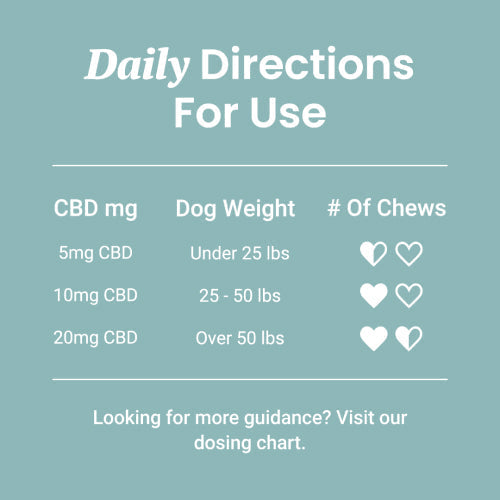 CBD Dog Treats for Anxiety 300mg - HolistaPet