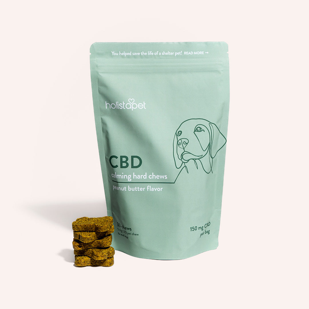 1 CBD Dog Treats For Calming Anxiety HolistaPet