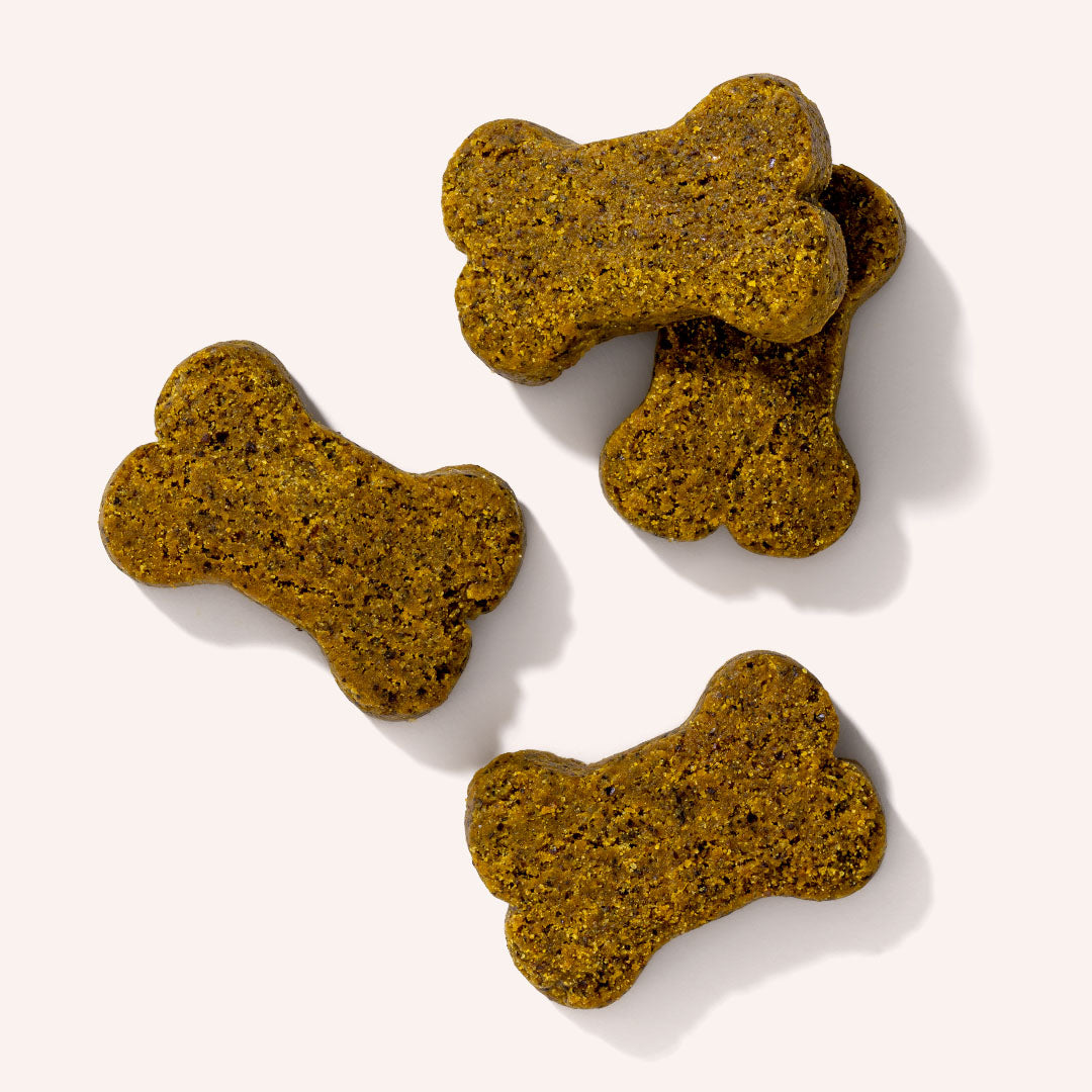 CBD Dog Treats for Anxiety - HolistaPet