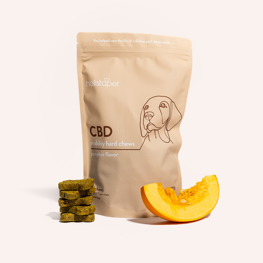 Buy CBD Dog Treats for Joint Pain Instant Relief HolistaPet