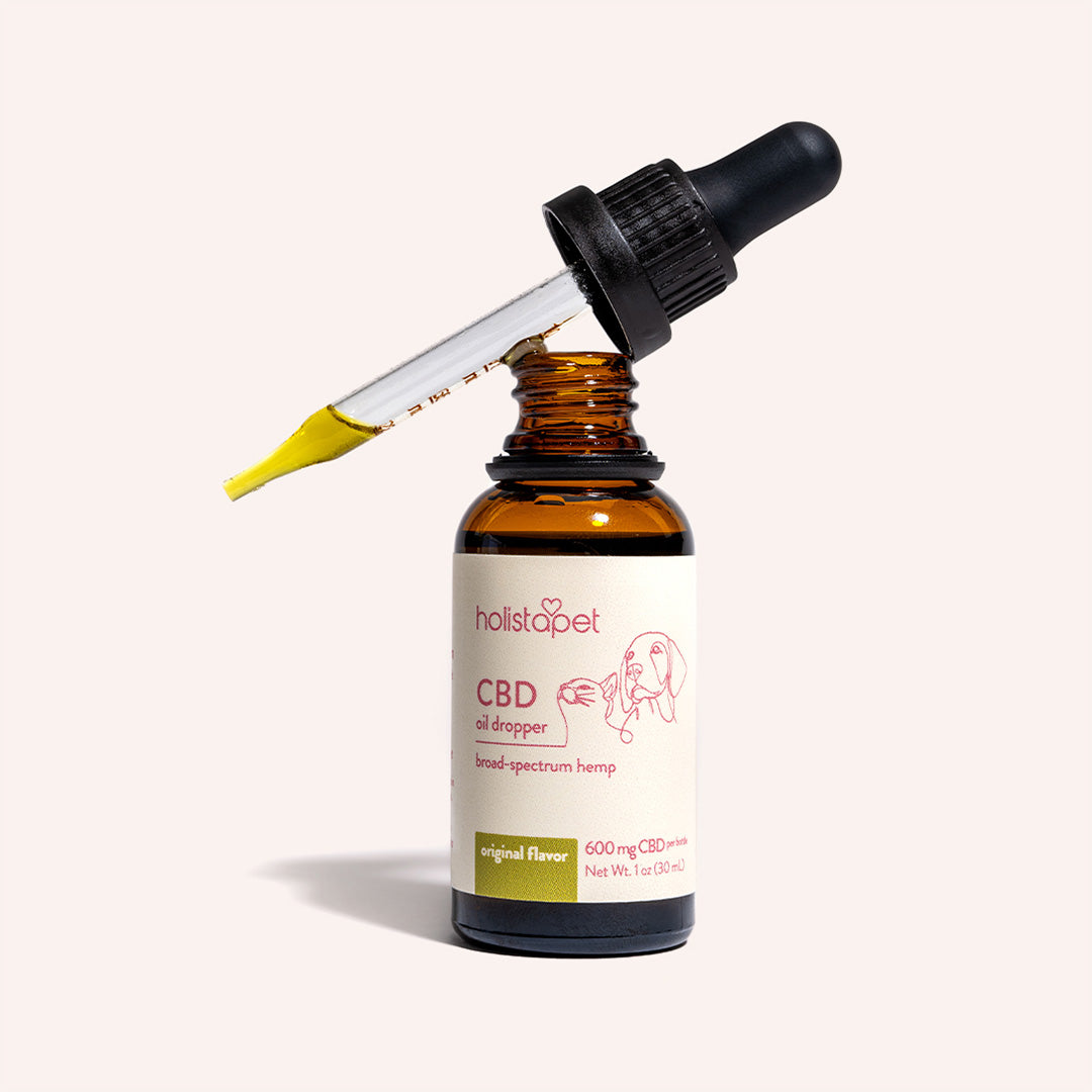 Broad Spectrum CBD Oil for Dogs - HolistaPet