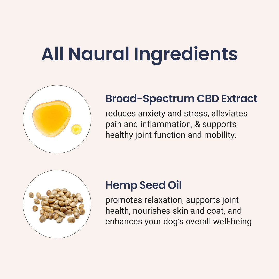 Broad Spectrum CBD Oil for Dogs - HolistaPet