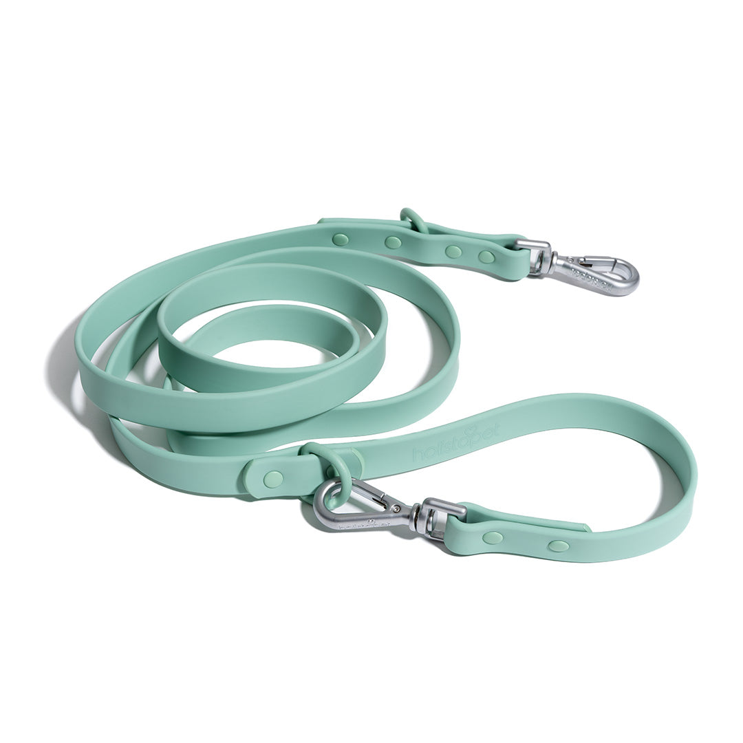 Dog hot sale leashes sale